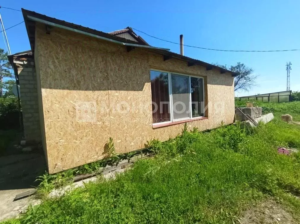 Дом в Амурская область, Серышевский муниципальный округ, с. Красная ... - Фото 2