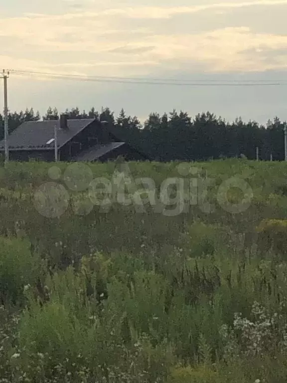 Участок 10,1 сот. (ИЖС) - Фото 0