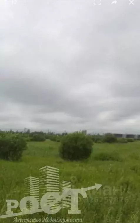 Участок в Приморский край, Артемовский городской округ, с. Кневичи  ... - Фото 1