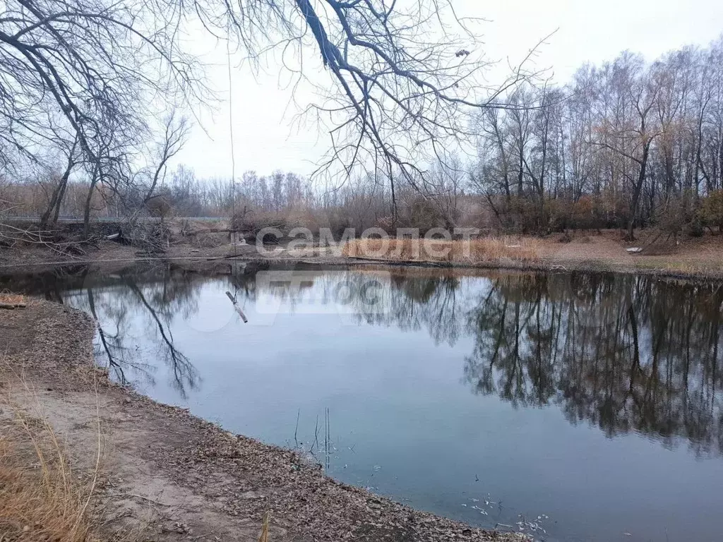 Участок 8,6 га (СНТ, ДНП) - Фото 1