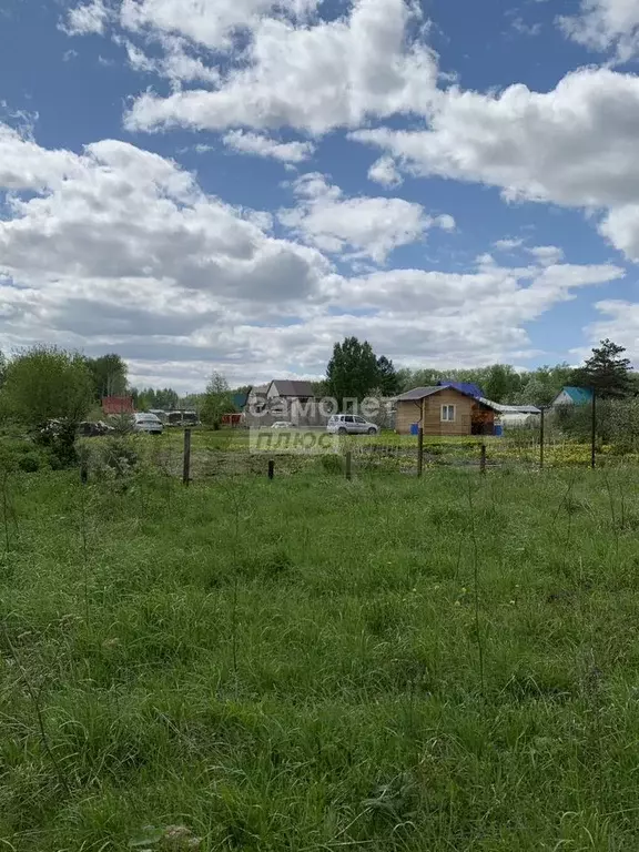 Участок 10,54 га (личное подсобное хозяйство (лпх)) - Фото 1