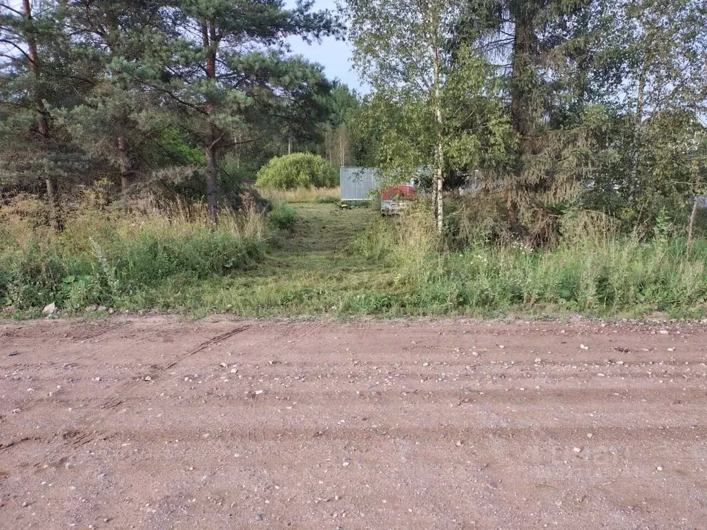 Участок в Новгородская область, Чудовский район, Успенское с/пос, ... - Фото 1