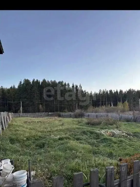 Участок в Курганская область, Курган Сады Корвет СНТ, 311 (6.0 сот.) - Фото 2