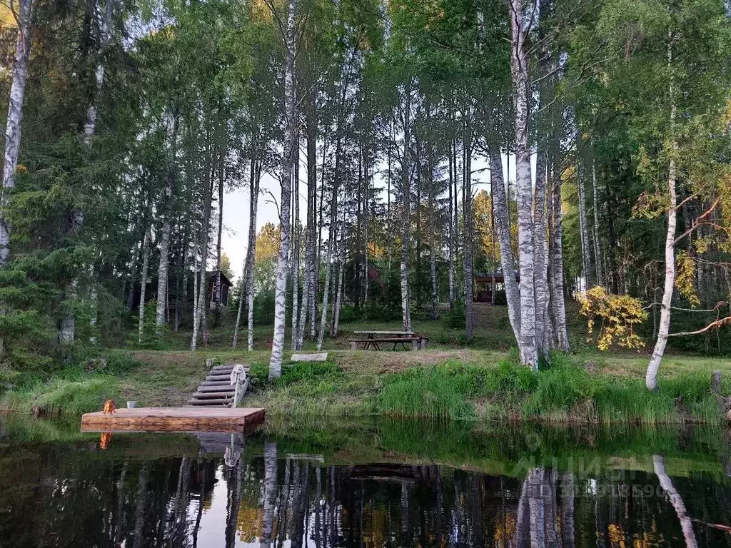 Дом в Карелия, Суоярвский муниципальный округ  (100 м) - Фото 0