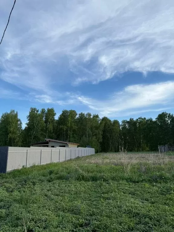 Участок в Алтайский край, Барнаул городской округ, пос. Березовка ул. ... - Фото 1