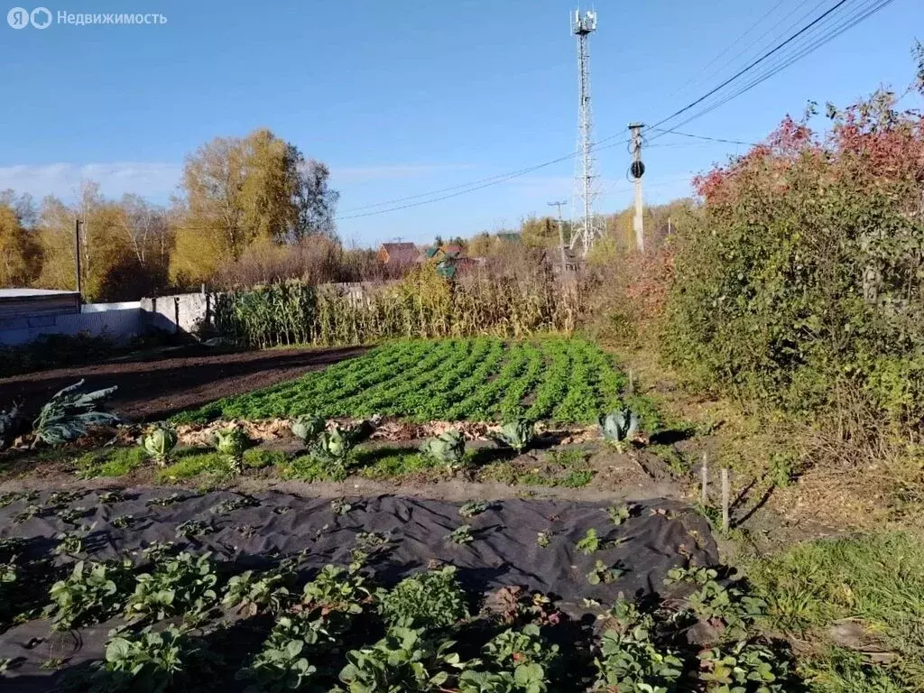 Участок в Барышевский сельсовет, СНТ Надежда-2, Молодёжная улица (6 м) - Фото 1