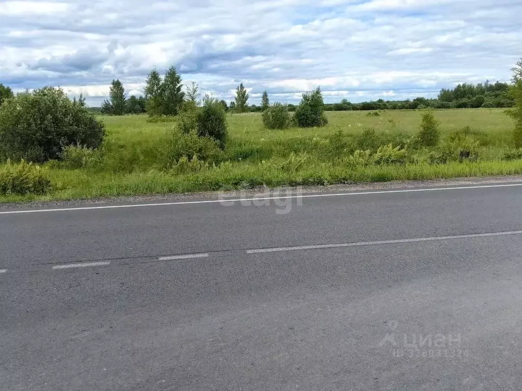 Участок в Ярославская область, Ярославский муниципальный округ, д. ... - Фото 1