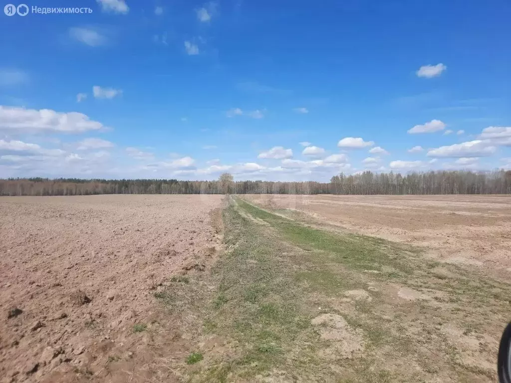 Участок в Нижегородская область, Городецкий муниципальный округ, ... - Фото 0