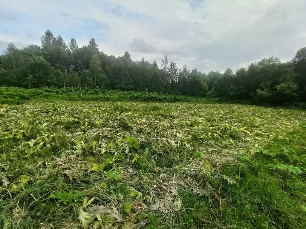 Участок в Тверская область, Конаково ул. Спортивная (10.0 сот.) - Фото 0