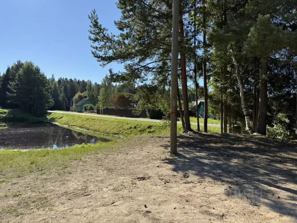 Участок в Ленинградская область, Волховский район, Иссадское с/пос, ... - Фото 2