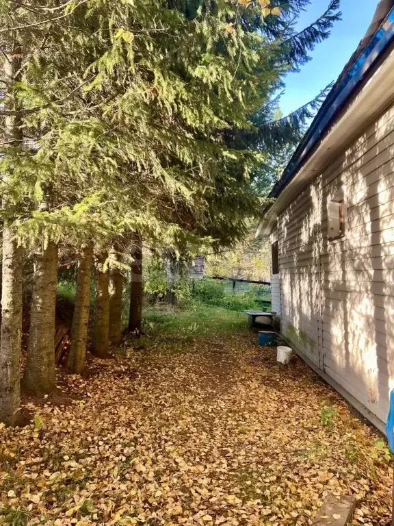 Дом в Коми, Сыктывдинский район, Лэзым муниципальное образование, с. ... - Фото 1