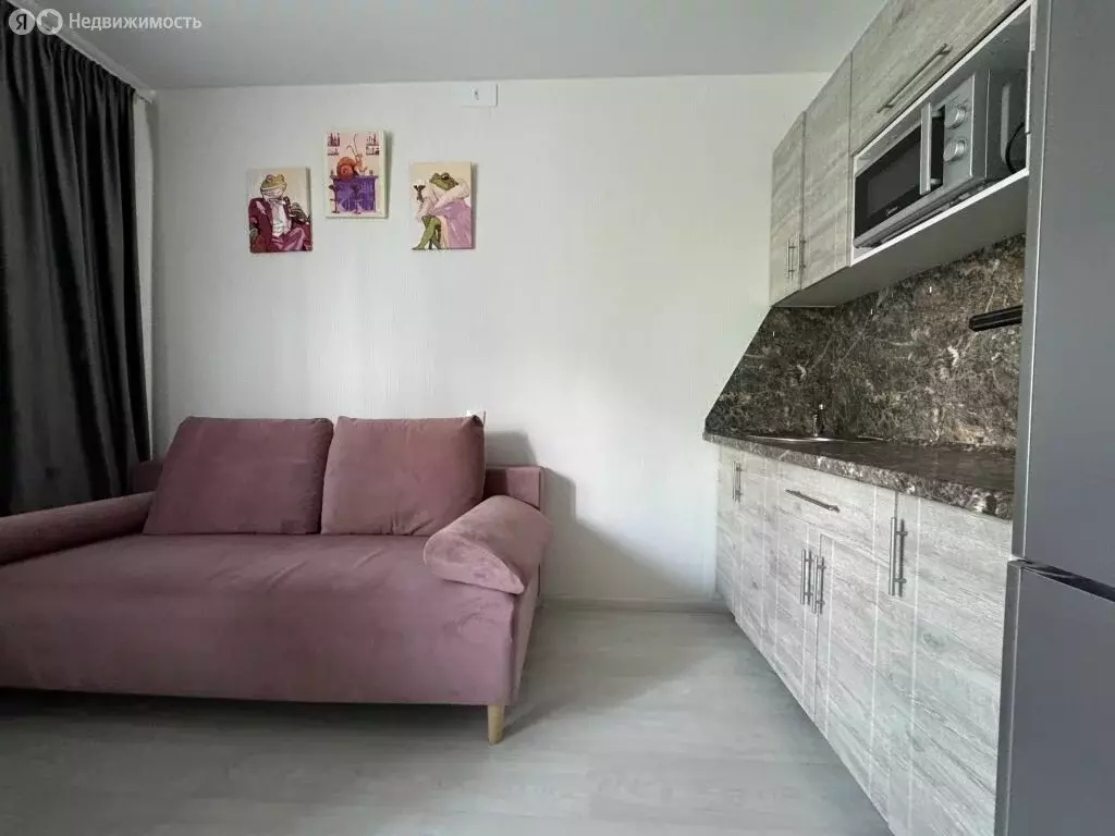 Квартира-студия: Нижний Новгород, улица Бориса Видяева, 25 (18 м) - Фото 1