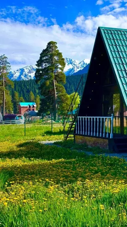 Дом в Карачаево-Черкесия, Зеленчукский район, с. Архыз ул. Алиева, 18А ... - Фото 1