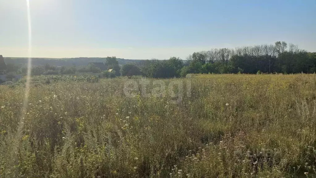 Участок в Белгородская область, Белгородский район, Никольское с/пос, ... - Фото 1