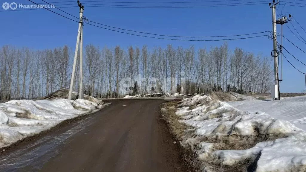 Участок в село Сокуры, коттеджный посёлок Новые Сокуры- 3, Казанская ... - Фото 2