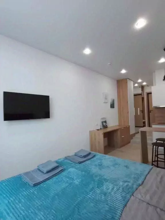 1-к кв. Татарстан, Казань ул. Толстого, 41к2 (22.0 м) - Фото 1