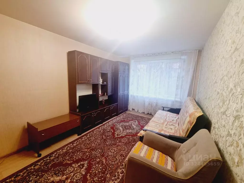 1-к кв. Московская область, Пушкино Московский просп., 33 (33.0 м) - Фото 2