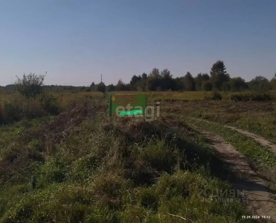 Участок в Калининградская область, Гурьевский муниципальный округ, ... - Фото 0