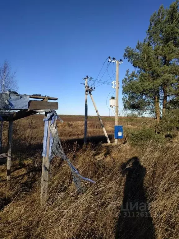 Участок в Ленинградская область, Ломоносовский район, Аннинское ... - Фото 0