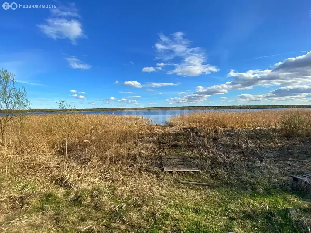 Участок в Ярославская область, Некрасовский муниципальный округ, ... - Фото 1