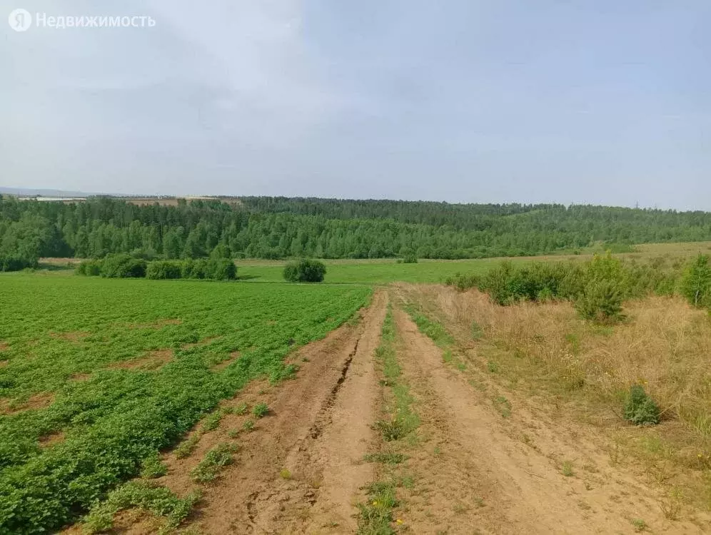 Днт Полет Иркутск Купить Участок