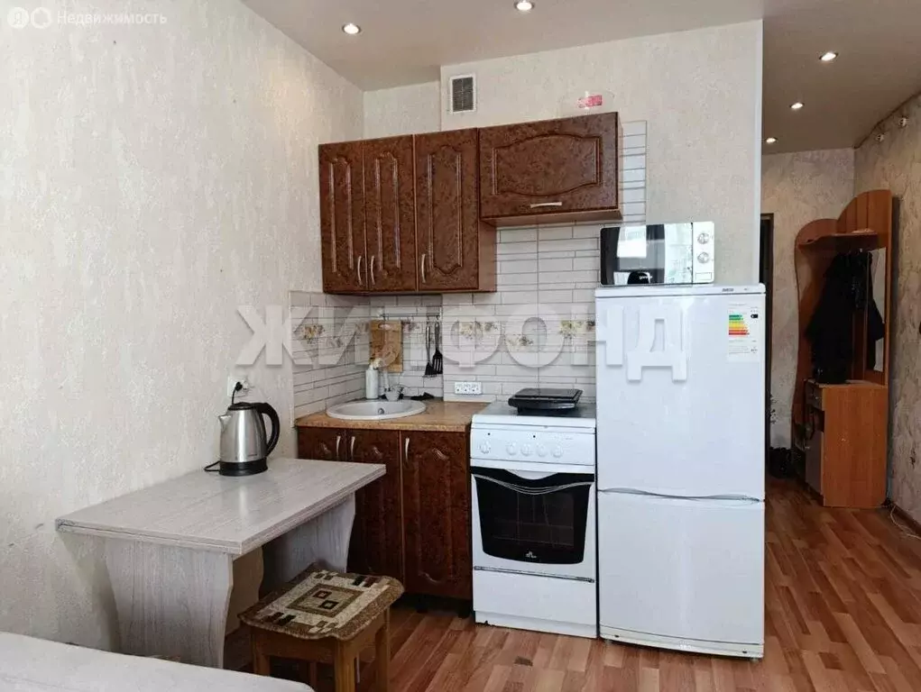 Квартира-студия: Новосибирск, улица Виктора Уса, 13 (19.3 м) - Фото 1