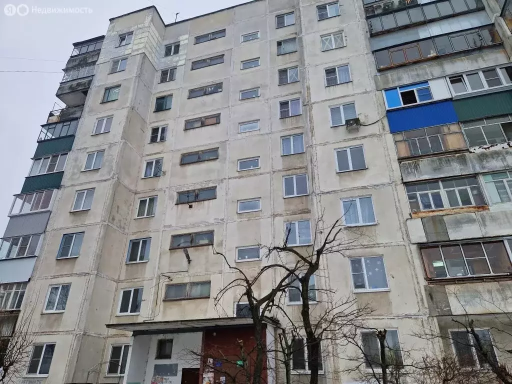 1-комнатная квартира: Курск, улица Серёгина, 26А (31 м) - Фото 1