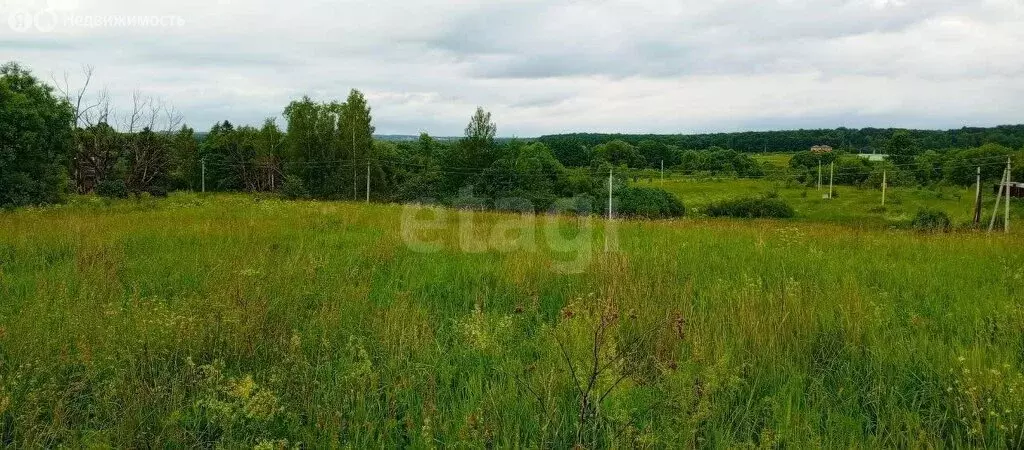 Участок в Тульская область, городской округ Тула, деревня Малёвка, 1-й ... - Фото 2