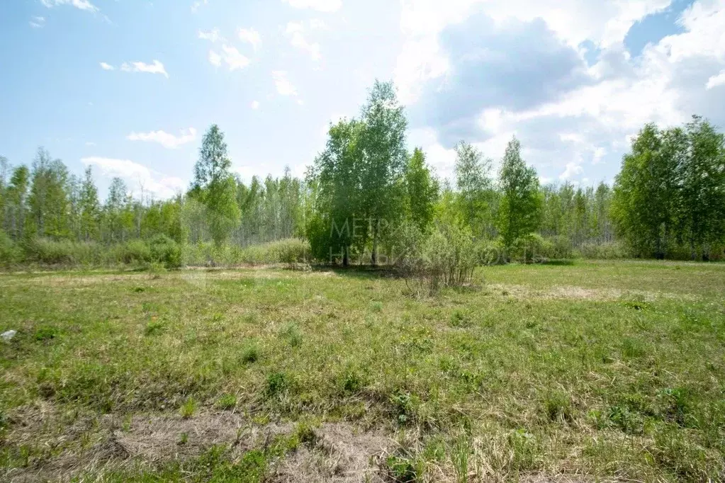 Участок в Тюменская область, Тюменский муниципальный округ, Дачи Хюгге ... - Фото 1