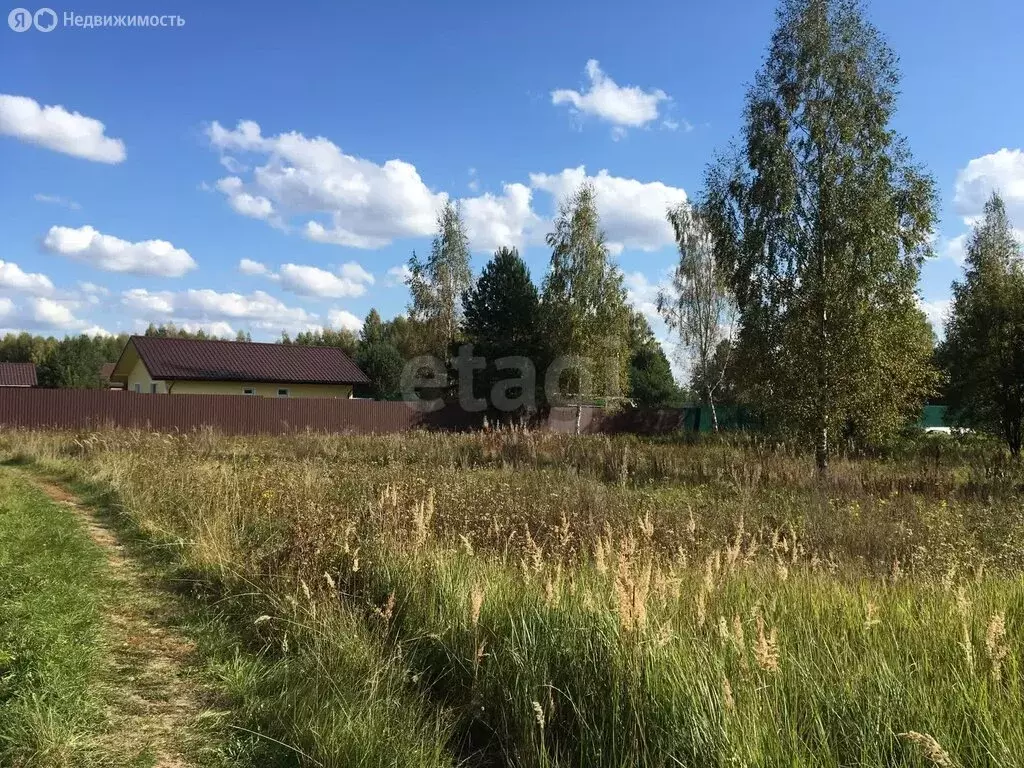 Участок в Ярославская область, Некрасовский муниципальный округ, ... - Фото 2