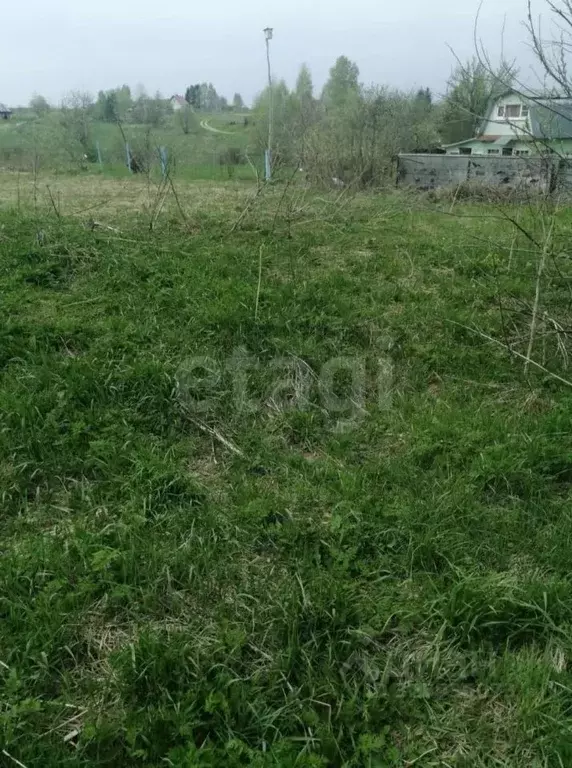 Участок в Калужская область, Козельский муниципальный округ, Деревня ... - Фото 2