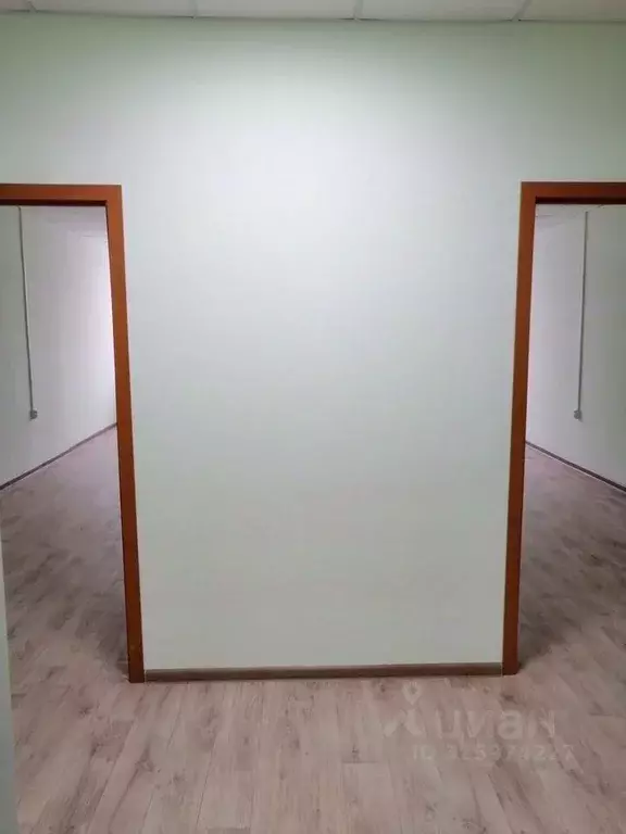 Офис в Московская область, Ногинск Богородский городской округ, ул. ... - Фото 1