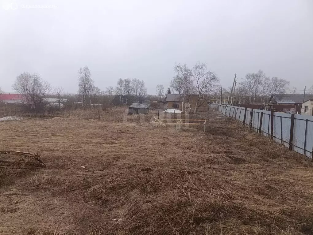 Участок в Камчатский край, Елизовский муниципальный округ, посёлок ... - Фото 1