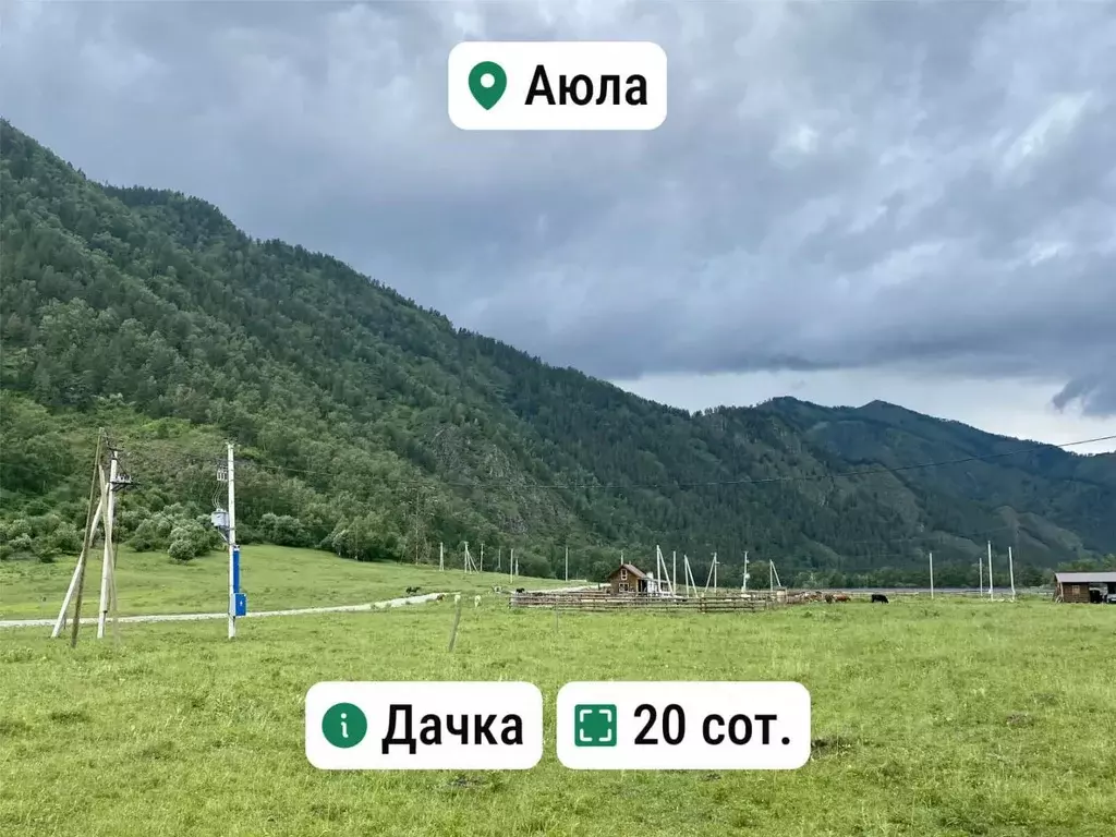 Участок в Алтай, Чемальский район, с. Аюла Центральная ул. (20.0 сот.) - Фото 1