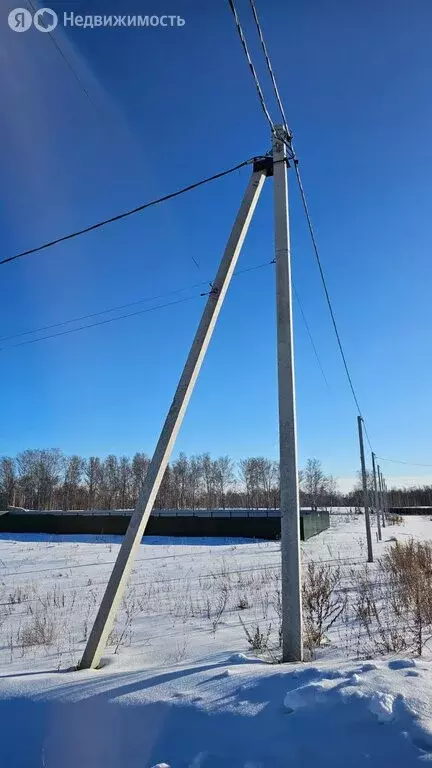 Участок в Луговское сельское поселение, посёлок Песчаный, Кедровая ... - Фото 0