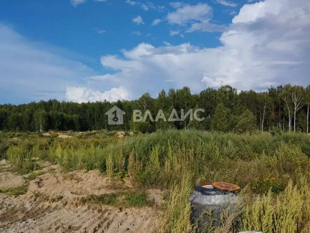 Участок в Владимирская область, Ковровский район, Доброград ... - Фото 1