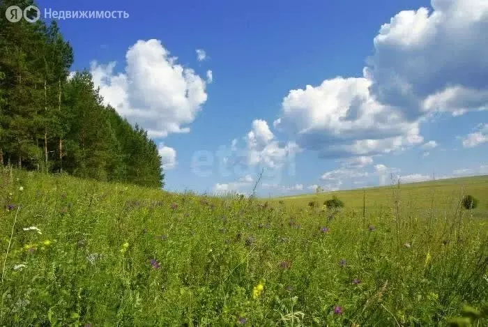 Участок в муниципальное образование Киров, деревня Эсауловы (15 м) - Фото 0