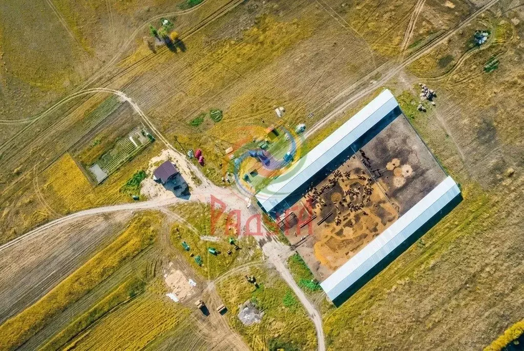 Производственное помещение в Ивановская область, Южский район, ... - Фото 2