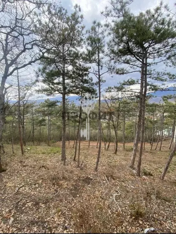 Участок в Крым, Алушта муниципальный округ, пос. Семидворье  (500.0 ... - Фото 1