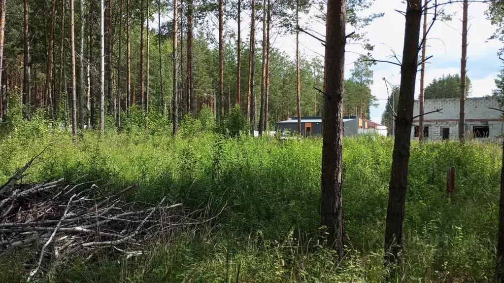 Участок в Свердловская область, Сысертский муниципальный округ, ... - Фото 1