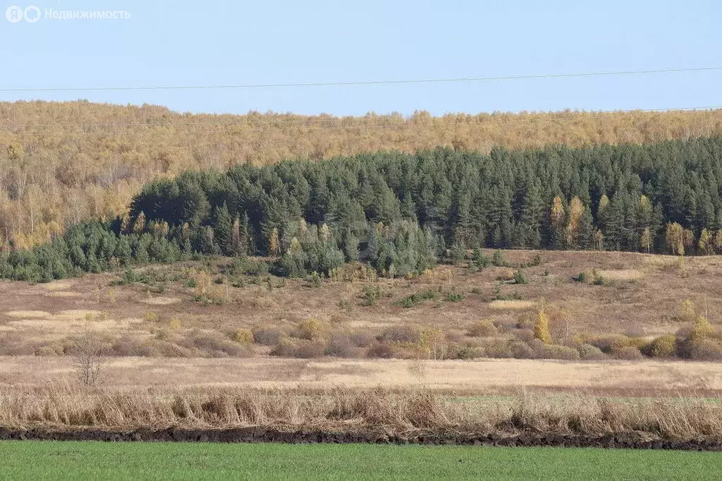 Участок в Сабаево, улица Лавровской (12.71 м) - Фото 0