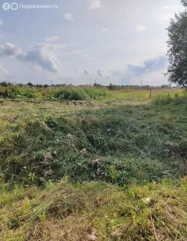 Участок в Вологодская область, Череповецкий муниципальный округ, ... - Фото 1