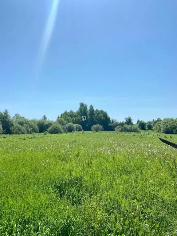 Участок в Кировская область, Сунский район, Кокуйское с/пос, д. ... - Фото 1