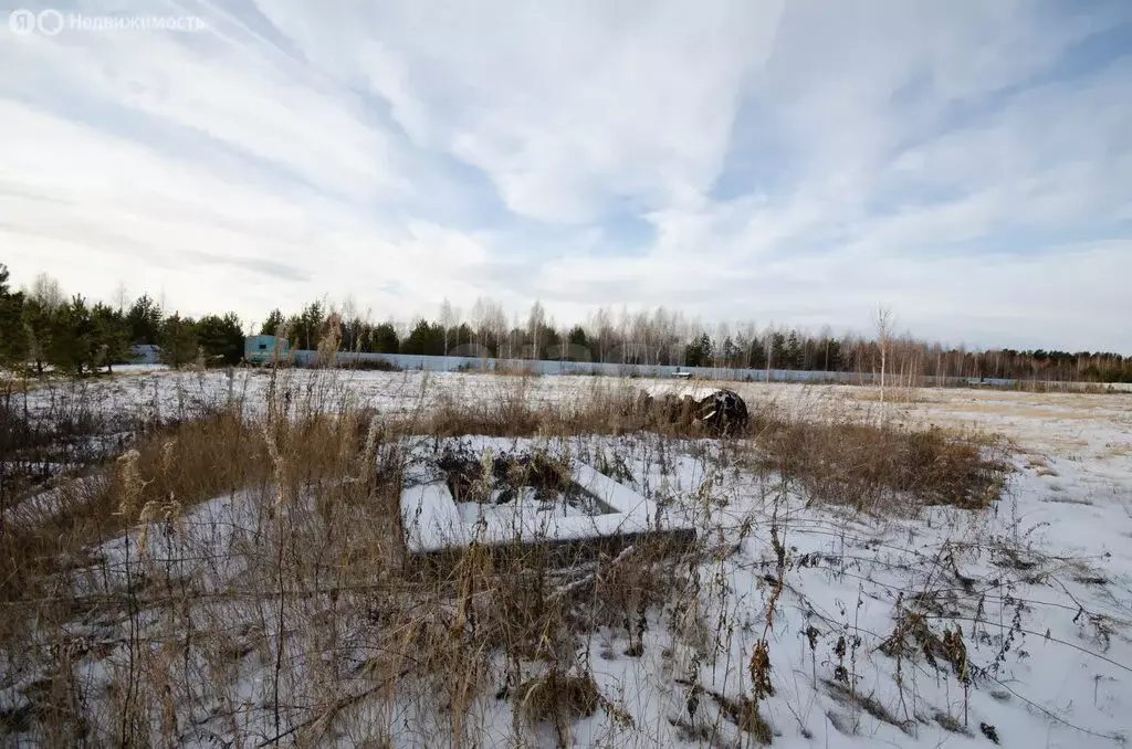 Участок в село Сингуль Татарский, Вербная улица (17.67 м) - Фото 2