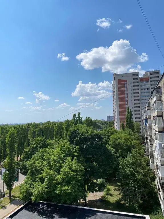 2-к кв. Воронежская область, Воронеж Московский просп., 91 (51.7 м) - Фото 1