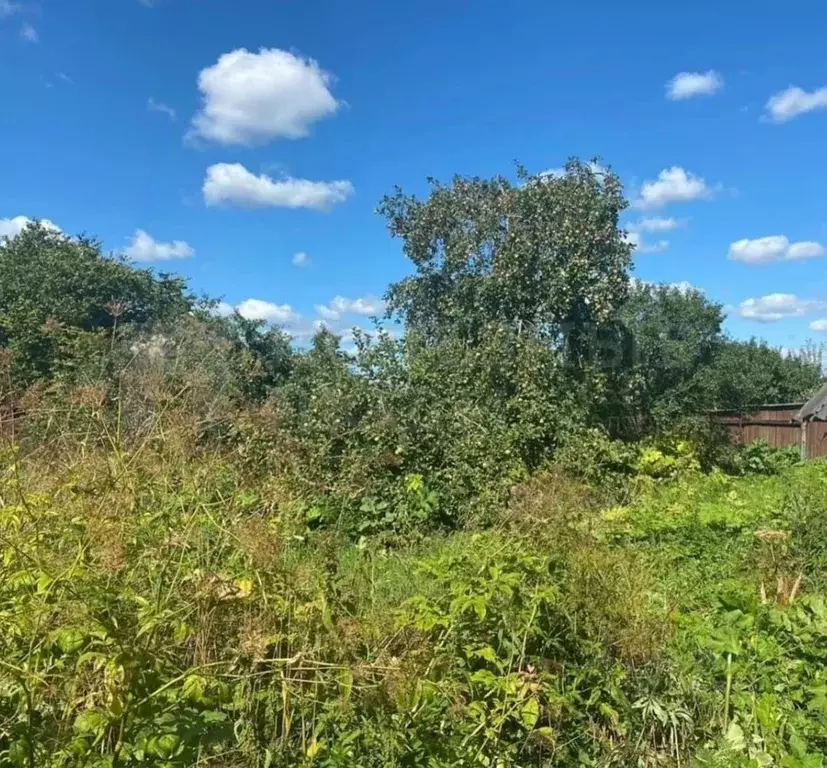 Дом в Новгородская область, Солецкий муниципальный округ, д. Дуброво ... - Фото 2