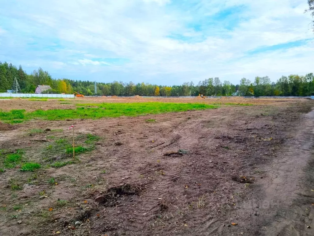 Участок в Московская область, Ногинск Богородский городской округ,  ... - Фото 0