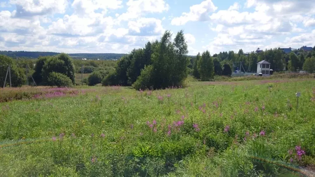 участок в московская область, дмитровский городской округ, д. сбоево . - Фото 0