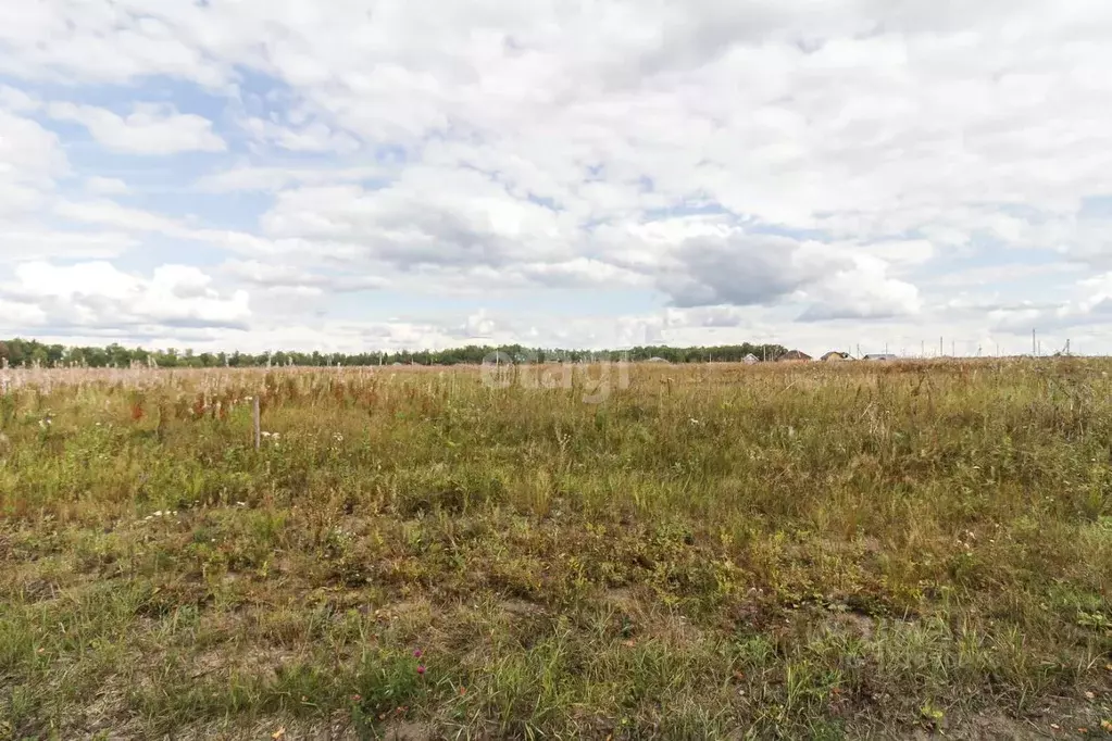 Участок в Тюменская область, Тюменский муниципальный округ, с. Каменка ... - Фото 1