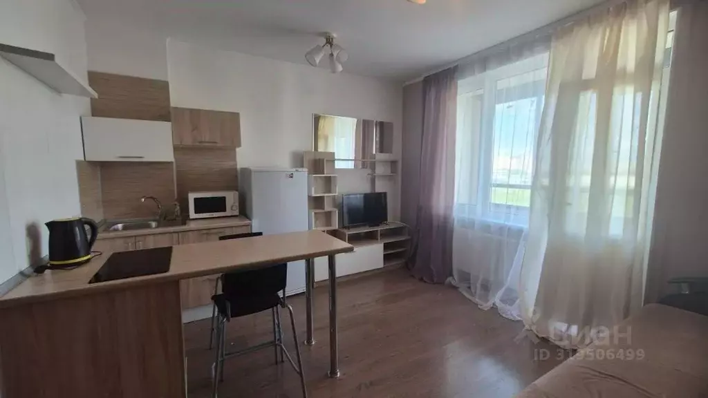 Студия Санкт-Петербург просп. Ветеранов, 169к1 (24.3 м) - Фото 0